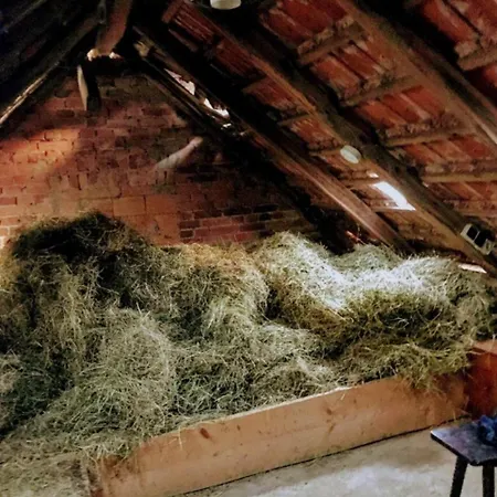 Bett im Heu auf Bauernhof Gemeinschaftsbad Schlafsäcke Hausbreitenbach Exterior foto